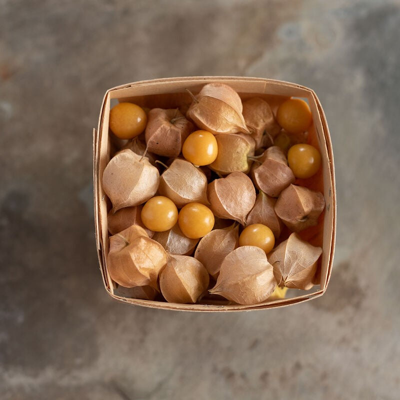 Fruit 'Aunt Mollys Ground Cherry'