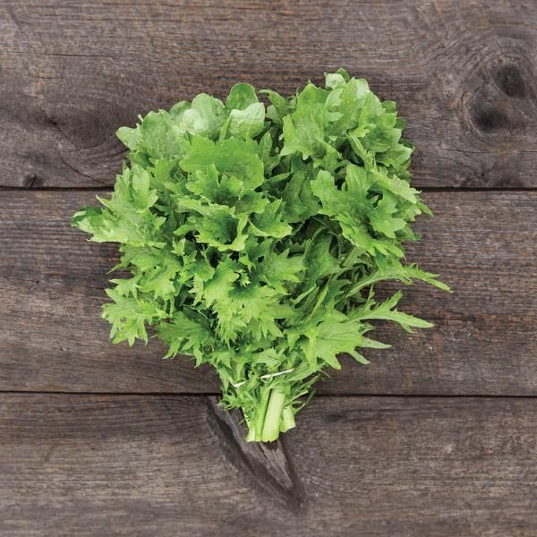 Greens 'Wasabi Mustard'