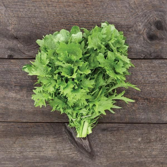 Greens 'Wasabi Mustard'