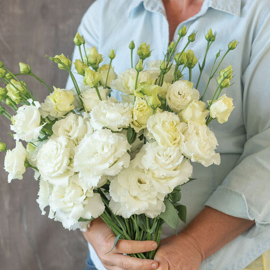 Lisianthus 'Voyage 2 White'