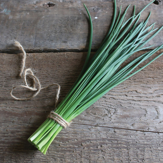 Herb 'Chives'