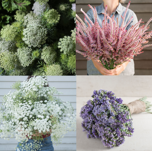 Bouquet Boosters - All Fillers Flower Seed Collection