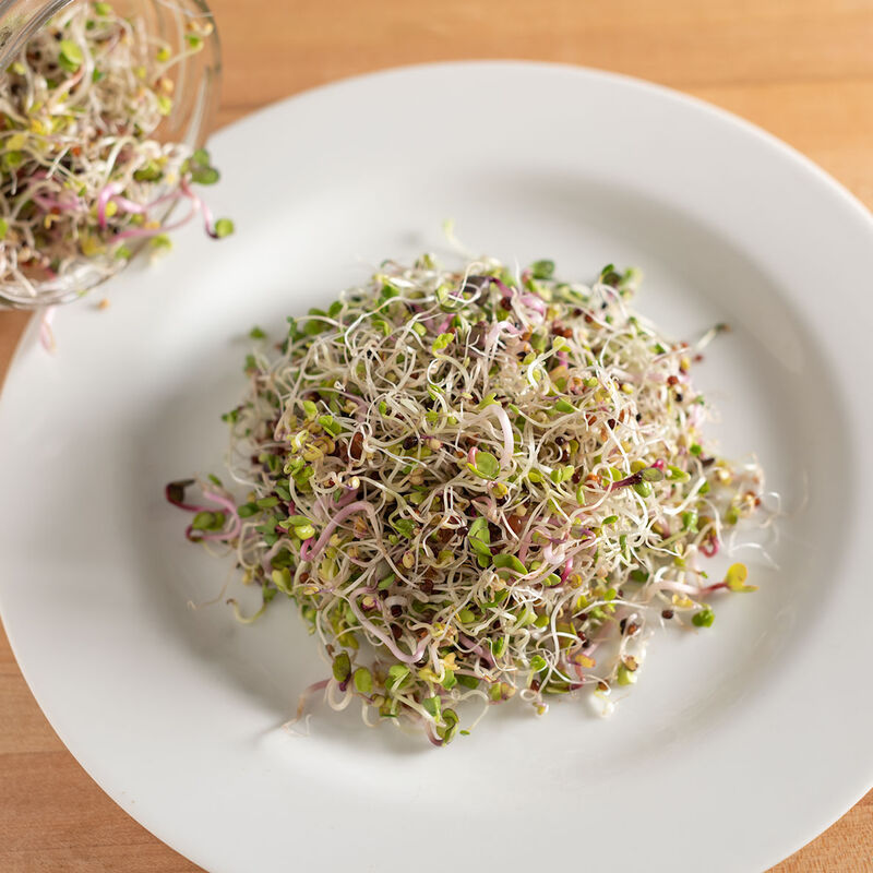 Microgreen 'Sandwich Booter Mix'