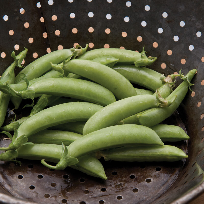 Peas 'Super Sugar Snap'